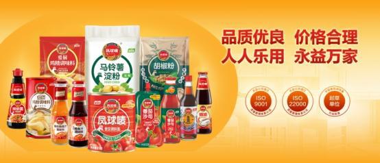 茄调味酱（番茄沙司）全国销量第一麻将胡了市场地位认证：凤球唛番(图4)