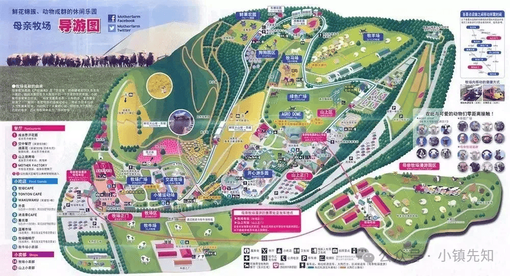 本农文旅标杆项目考察研修之旅麻将胡了5月11-16]日(图9)