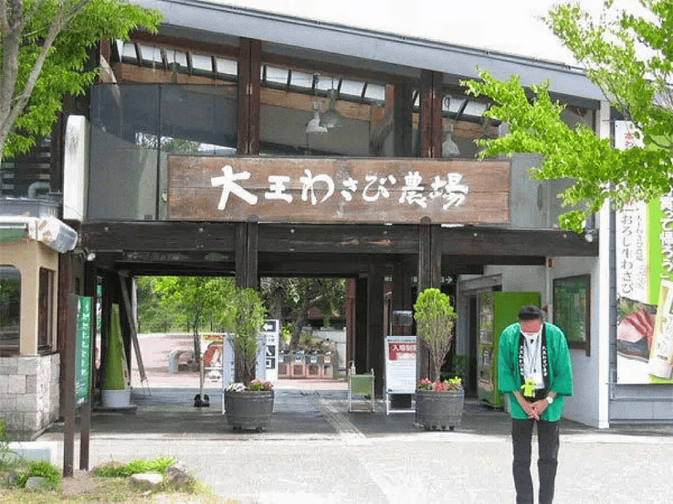 本农文旅标杆项目考察研修之旅麻将胡了5月11-16]日(图16)