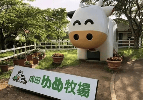 本农文旅标杆项目考察研修之旅麻将胡了5月11-16]日(图19)