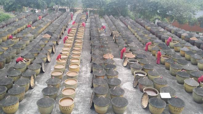 年匠心酿岁月 薪火相传谱新篇麻将胡了app江津酿造：百(图2)