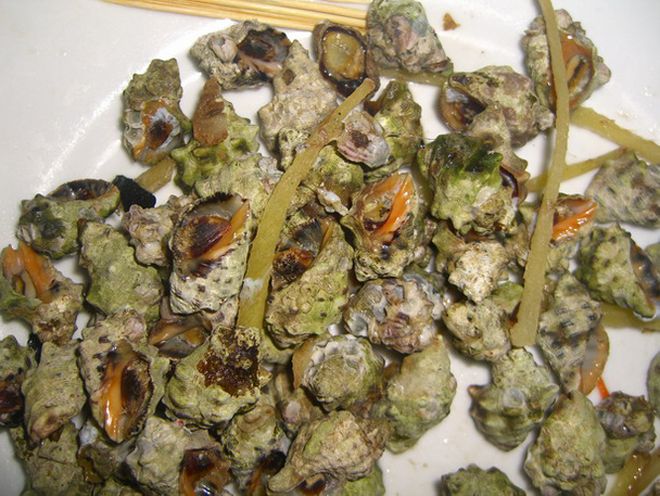 水煮还是开水煮？你选哪种？PG电子游戏麻将胡了苦螺冷(图3)