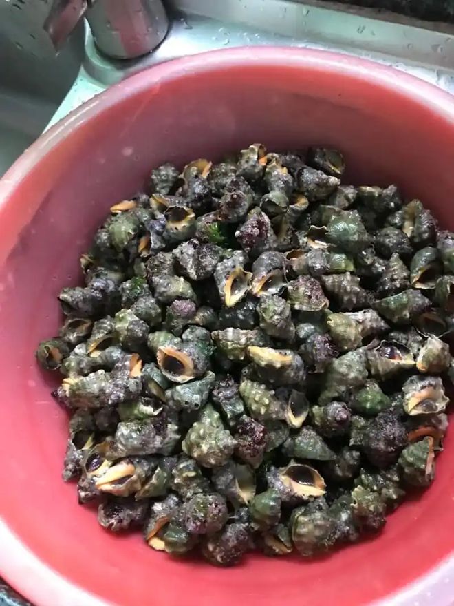 水煮还是开水煮？你选哪种？PG电子游戏麻将胡了苦螺冷(图2)
