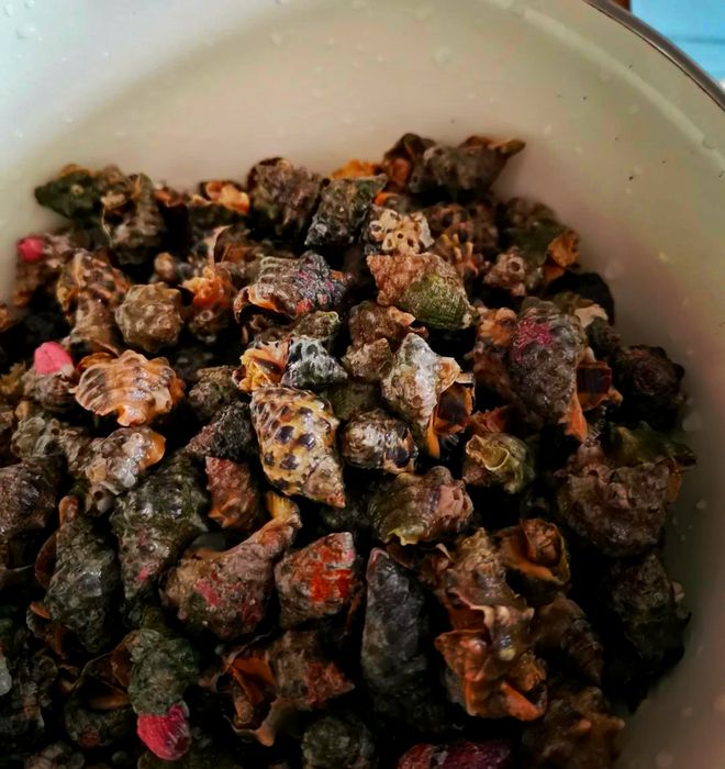 水煮还是开水煮？你选哪种？PG电子游戏麻将胡了苦螺冷(图5)
