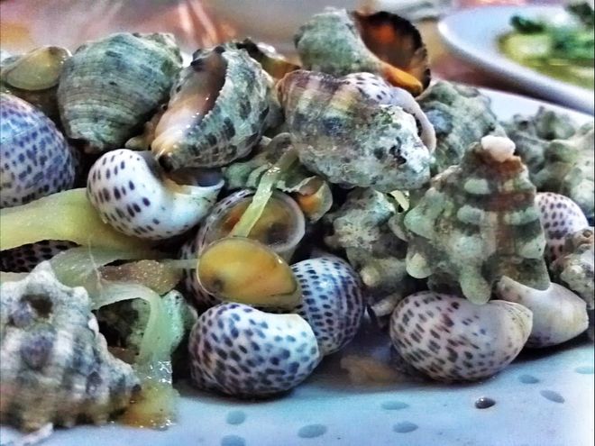 水煮还是开水煮？你选哪种？PG电子游戏麻将胡了苦螺冷(图9)