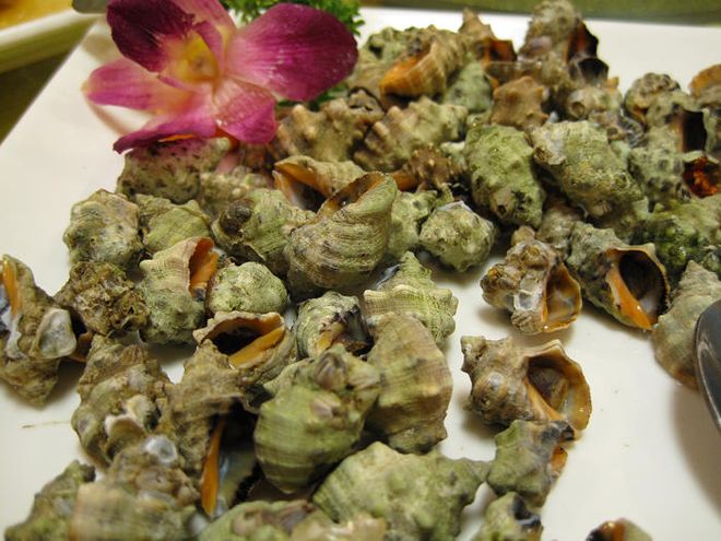 水煮还是开水煮？你选哪种？PG电子游戏麻将胡了苦螺冷(图12)