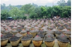 年匠心酿岁月 薪火相传谱新篇麻将胡了ap